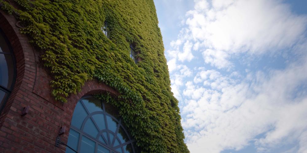 Iran-demonstrasjoner: støtte til berørte studenter og ansatte