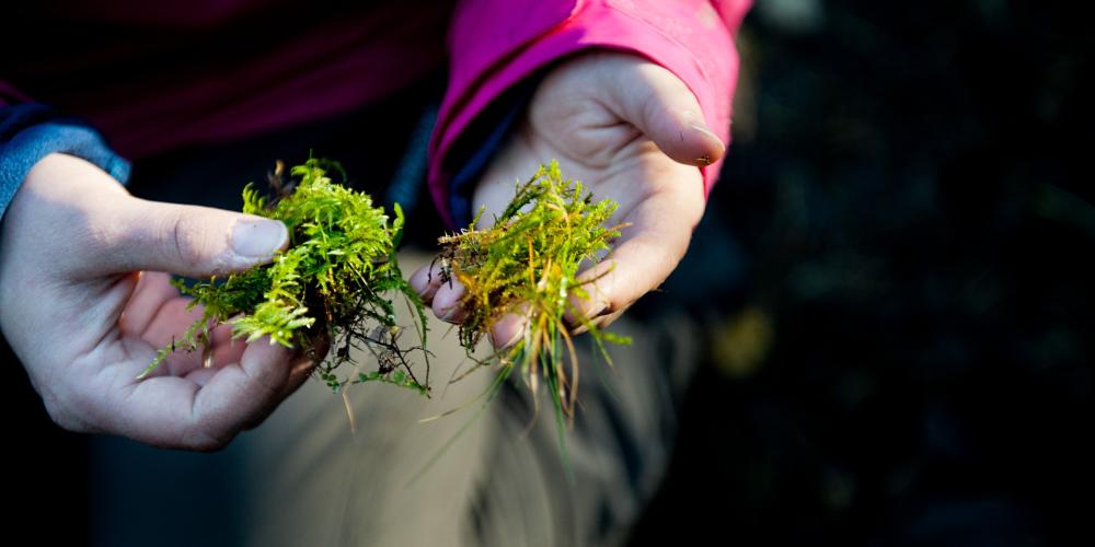 Ny bachelor i skolefritidspedagogikk 